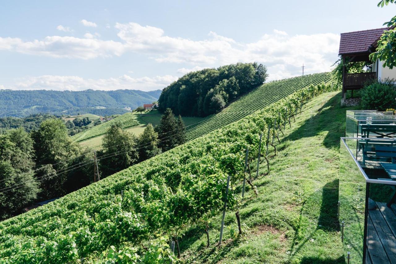 Weingut Sternat Vlg. Schmalzpeter Villa Arnfels Ngoại thất bức ảnh