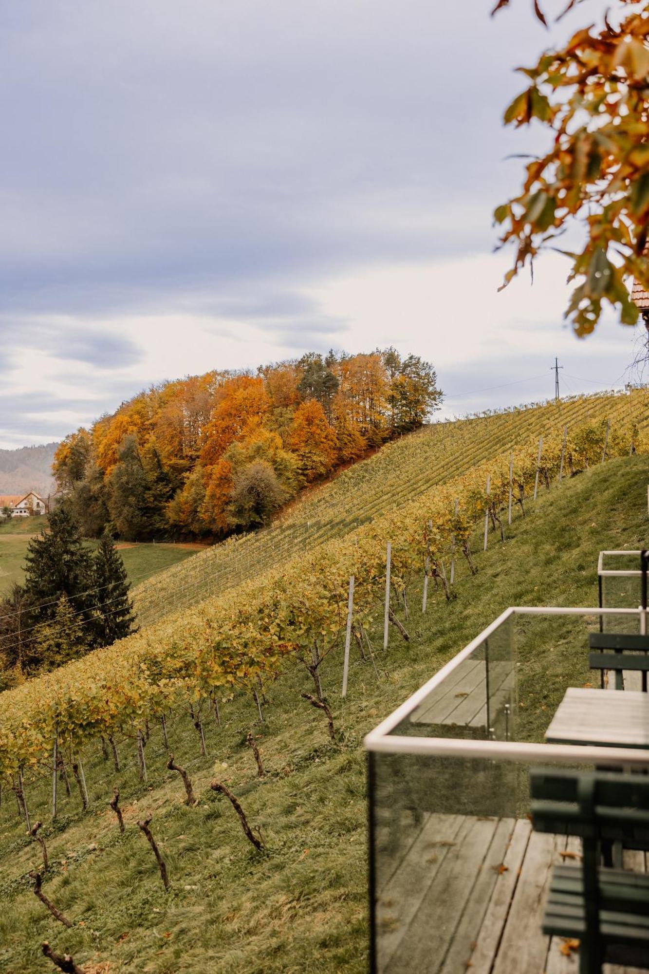 Weingut Sternat Vlg. Schmalzpeter Villa Arnfels Ngoại thất bức ảnh